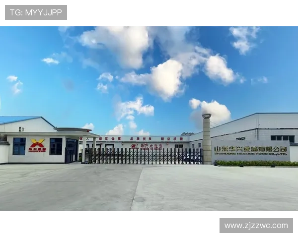 华兴篮球联赛直播（华兴青少年篮球俱乐部）sports