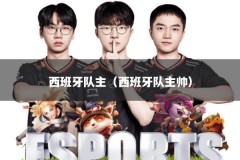 西班牙队主（西班牙队主帅）