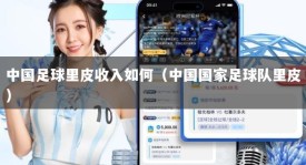 中国足球里皮收入如何（中国国家足球队里皮）