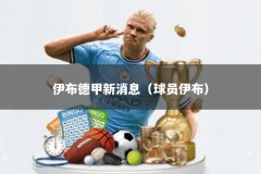 伊布德甲新消息（球员伊布）