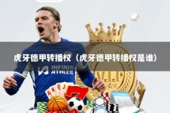 虎牙德甲转播权（虎牙德甲转播权是谁）