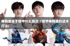 弗赖堡属于德甲什么档次（德甲弗赖堡的战术打法）