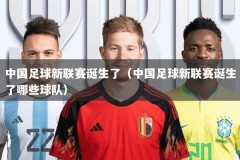 中国足球新联赛诞生了（中国足球新联赛诞生了哪些球队）
