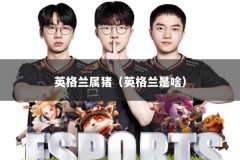 英格兰属猪（英格兰是啥）