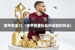 德甲狼堡31（德甲狼堡队员阿诺德的特点）