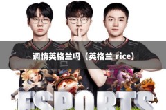 调情英格兰吗（英格兰 rice）