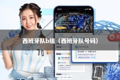 西班牙队b组（西班牙队号码）