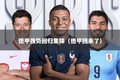 德甲强势回归集锦（德甲回来了）