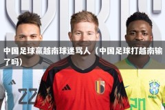 中国足球赢越南球迷骂人（中国足球打越南输了吗）