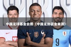 中国足球基金会质（中国足协资金来源）