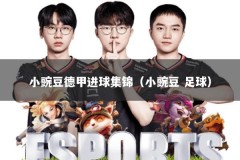 小豌豆德甲进球集锦（小豌豆 足球）