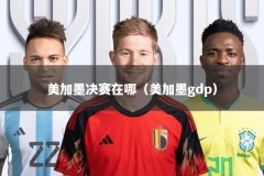 美加墨决赛在哪（美加墨gdp）