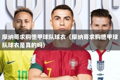 摩纳哥求购德甲球队球衣（摩纳哥求购德甲球队球衣是真的吗）