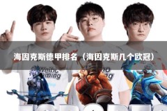 海因克斯德甲排名（海因克斯几个欧冠）