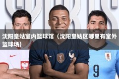 沈阳皇姑室内篮球馆（沈阳皇姑区哪里有室外篮球场）