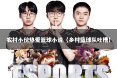 农村小伙热爱篮球小说（乡村篮球队吐槽）