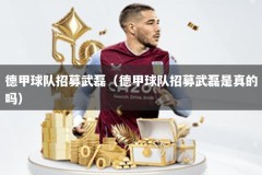 德甲球队招募武磊（德甲球队招募武磊是真的吗）
