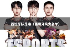 西班牙队是谁（西班牙队大名单）