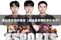 美加墨世界杯徽章（美加墨世界杯举办城市）