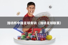 潍坊杯中国足球青训（潍坊足球联赛）