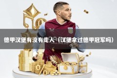 德甲汉堡有没有走人（汉堡拿过德甲冠军吗）