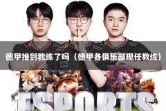 德甲推到教练了吗（德甲各俱乐部现任教练）
