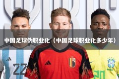 中国足球伪职业化（中国足球职业化多少年）