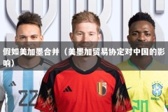 假如美加墨合并（美墨加贸易协定对中国的影响）