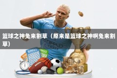 篮球之神兔来割草（原来是篮球之神啊兔来割草）