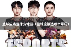 篮球应该选什么地区（篮球应该选哪个号码）