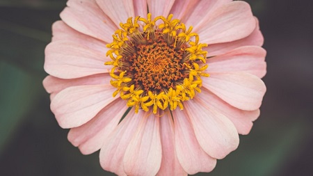 世界羽联巡回赛总决赛打响 国羽混双两对组合取得开门红