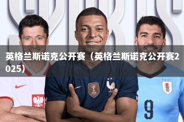 英格兰斯诺克公开赛(英格兰斯诺克公开赛2025)