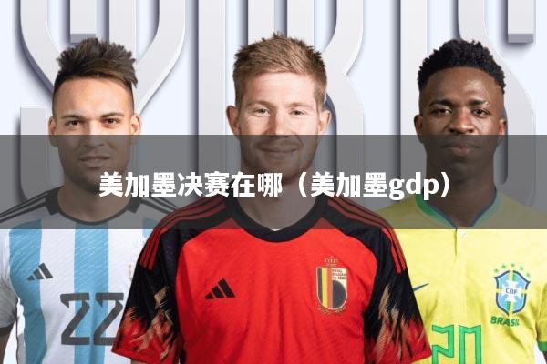 美加墨决赛在哪(美加墨gdp)